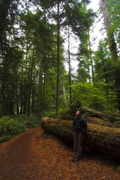 Tofino, Vancouver